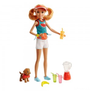 Black Friday | Barbie Sisters Stacie Doll and Smoothie Accessory Set - Sale