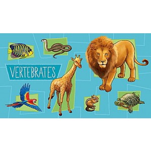 Black Friday | LeapStart® Amazing Animals with Conservation 30+ Page Activity Book Ages 4-6 yrs.